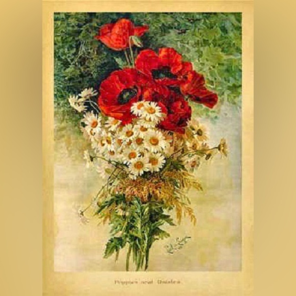 Birthday Greeting Card 🎴 Size 5 by 7 inches